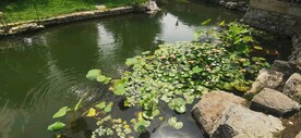 三里河公园