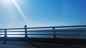 上海长江大桥