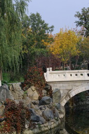 彩叶风景