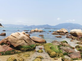 海边 大海