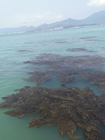 海边 大海 海水