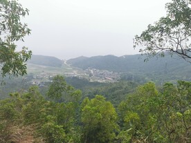 大山 美景 