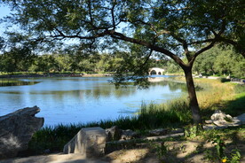 龙潭中湖风景