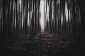 黑暗的森林