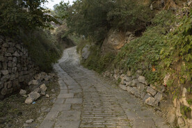 蜿蜒小路