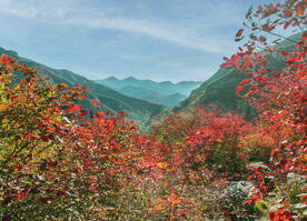 坡峰岭