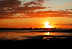 新西兰海滨夕阳风光