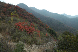 嵩山秋景