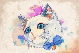 可爱的猫咪