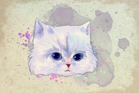 可爱的猫咪