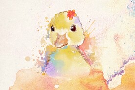 可爱的小黄鸭