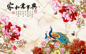 家和万事兴孔雀背景墙
