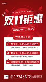 双11促销海报