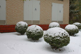 雪球