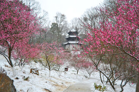隆中雪景