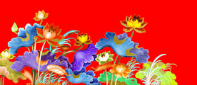 荷花 莲花