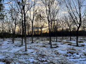 落日余晖下的雪景