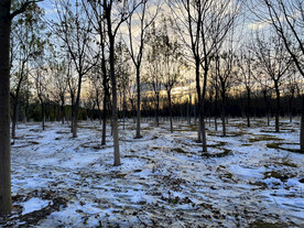 落日余晖下的雪景
