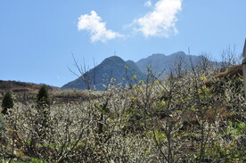 风景图