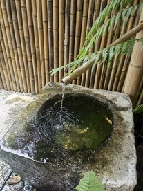 庭院禅意水景