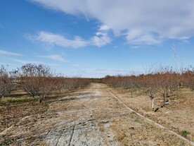 蓝天 白云 道路