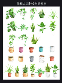 绿植盆栽PNG免抠