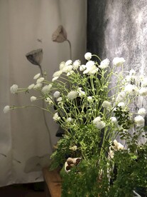 禅意空间插花