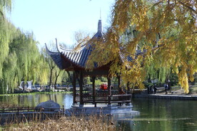 彩叶风景 
