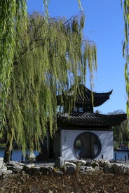 彩叶风景 
