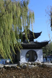 彩叶风景