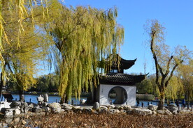 彩叶风景 