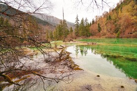 绿水松林