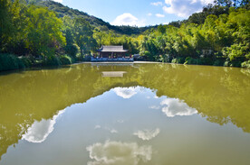 隆重