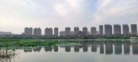 城市湖景