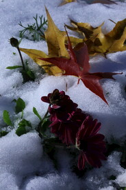  润雪 
