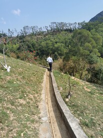 田间小路 
