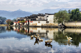 婺源风光
