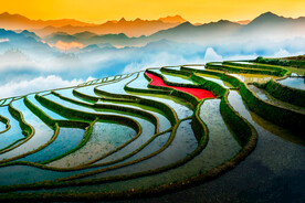 红河哈尼水稻梯田
