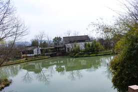 杭州西溪国家公园 小河道