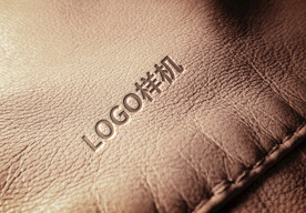 LOGO样机皮质 logo效果