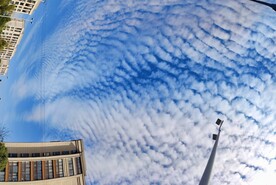 仰视一景