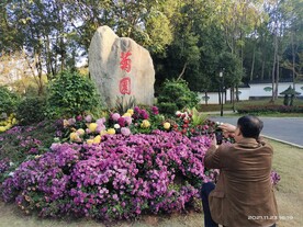 园林景观