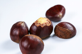 板栗高清图