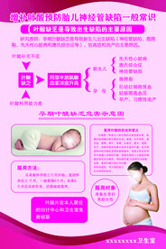 增补叶酸预防胎儿神经管缺陷一般
