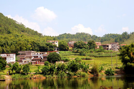 竹乡美景