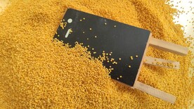 黄小米