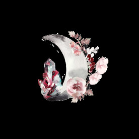 钻石夜晚月亮花朵