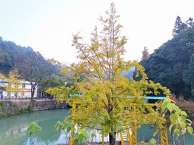 海边 