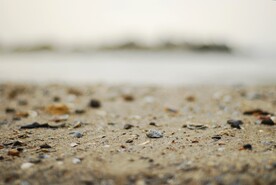 海滩沙滩