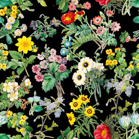 英式复古玫瑰花卉艺术装饰PNG